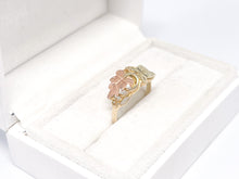 Lade das Bild in den Galerie-Viewer, *Goldring-Kreuzblattschmuckstück* I "Black Hills" I Weinblätter I Kreuz (Kreuzemuster) I Tricolor Roségold Gold Weißgold Ring I USA I 417 Karat 10K