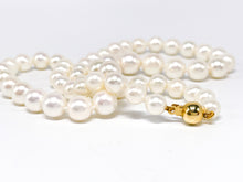 Lade das Bild in den Galerie-Viewer, feine zarte Damen Perlenkette I Perlenschmuck Perlen Kette I weiß I 44cm 14 Karat 585K