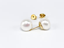 Lade das Bild in den Galerie-Viewer, Perlen Ohrringe Ohrstecker I Gold Schmuck Perlenschmuck I 14 Karat 585K