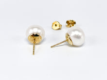 Lade das Bild in den Galerie-Viewer, Perlen Ohrringe Ohrstecker I Gold Schmuck Perlenschmuck I 14 Karat 585K